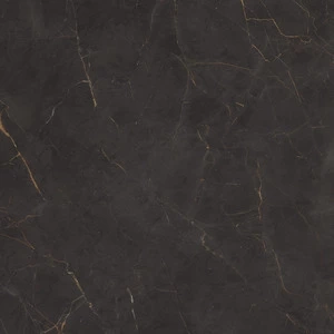 Cerdomus Fondinat.Rettificat60X60 79969