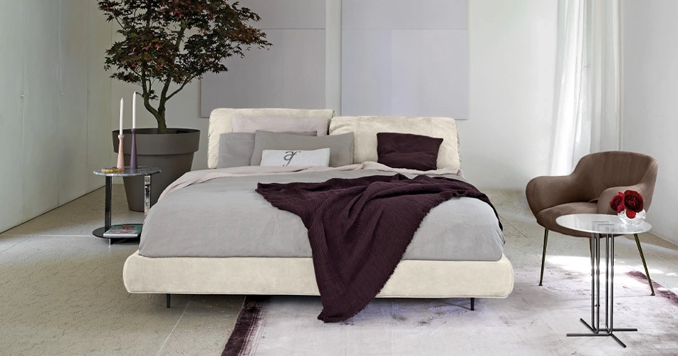 Lit Arketipo Crazy Dream