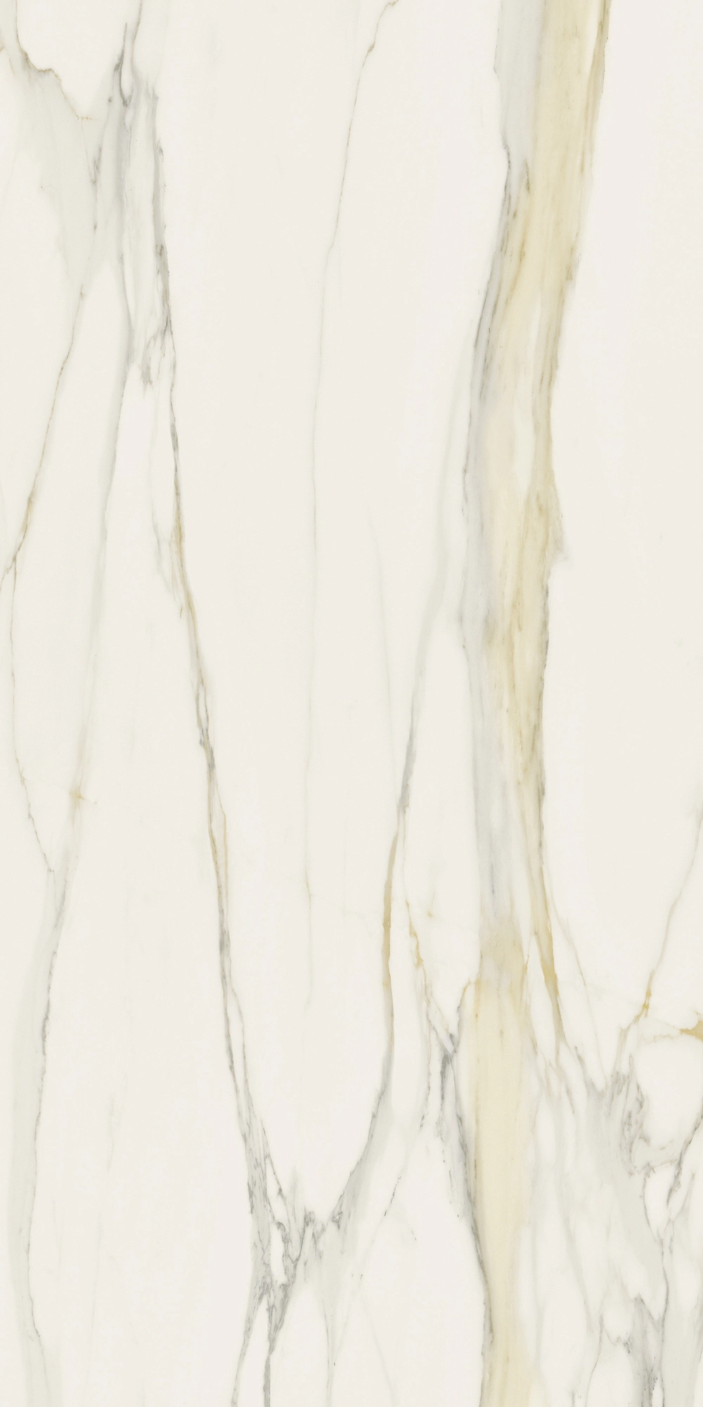 Florim Rex I Classici Cal.Gold 6Mm Glossy 120X240Re 750682