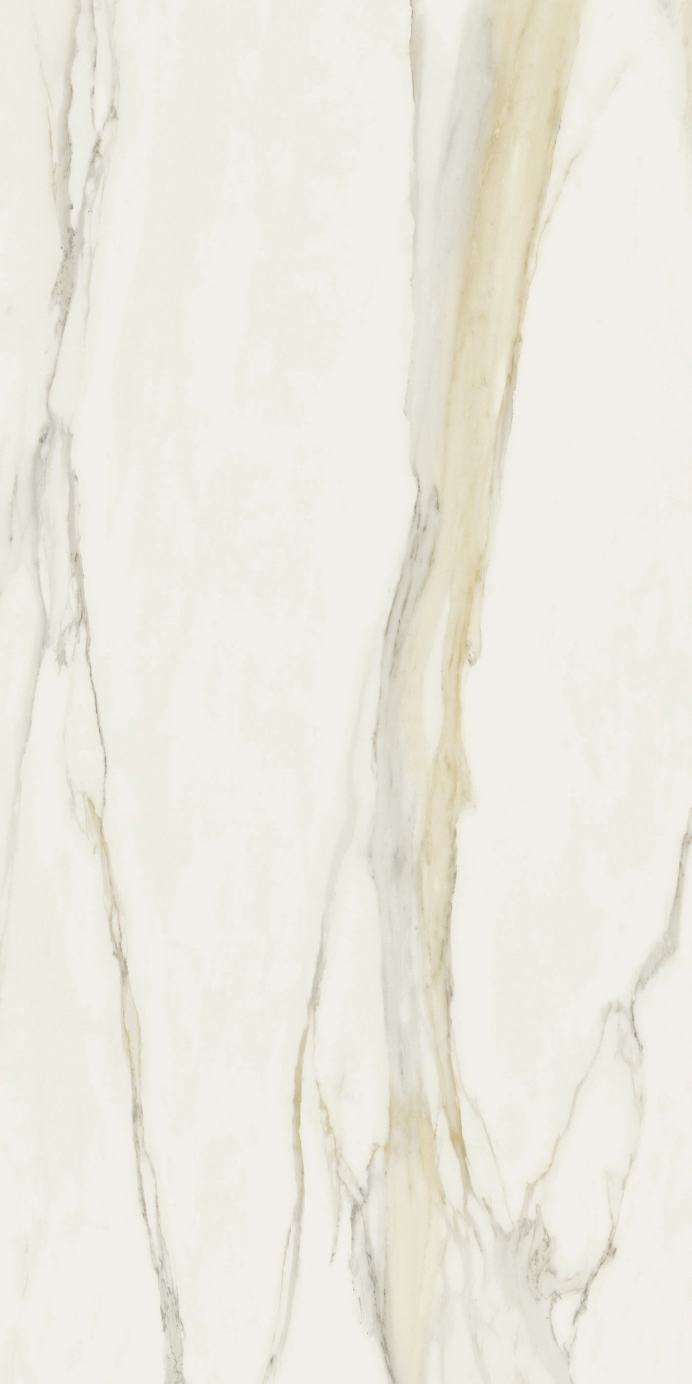 Florim Rex I Classici Cal.Gold 6Mm Glossy 120X240Re 750682