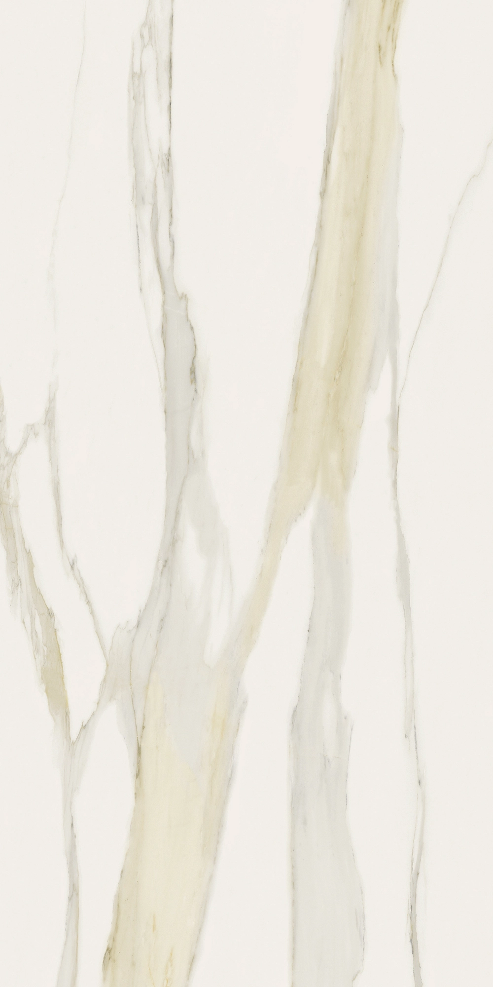 Florim Rex I Classici Cal.Gold 6Mm Glossy 120X240Re 750682