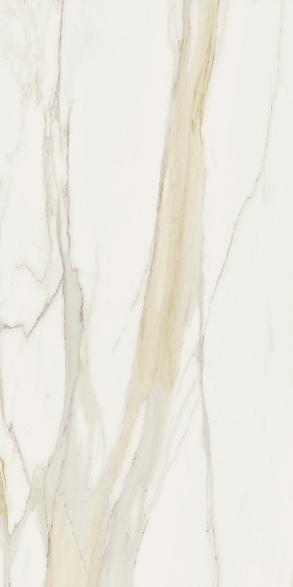 Florim Rex I Classici Cal.Gold 6Mm Matte 120X240 Re 753280