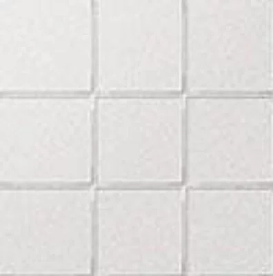 CESI 10X10 RETE-SALGEMMA 5LU100100RE-116