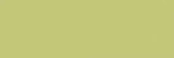 CESI 20X60-MELA 5MA200600-30