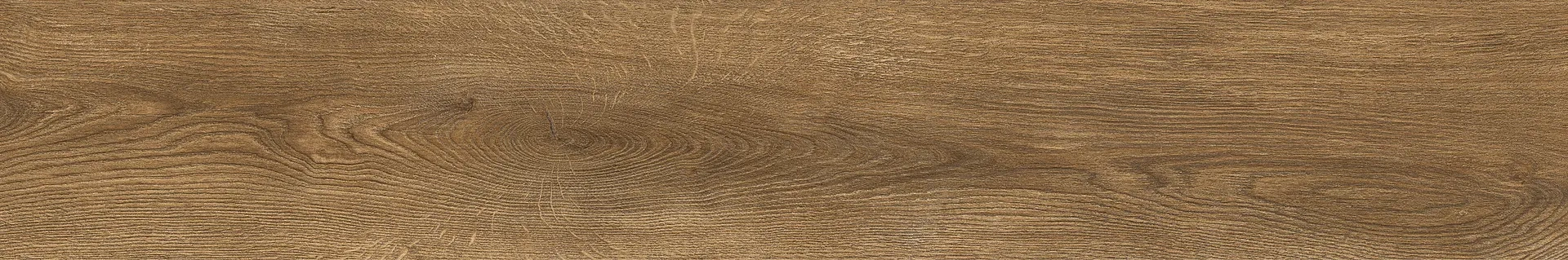 Ragno Inedito Nocciola Rt RADW