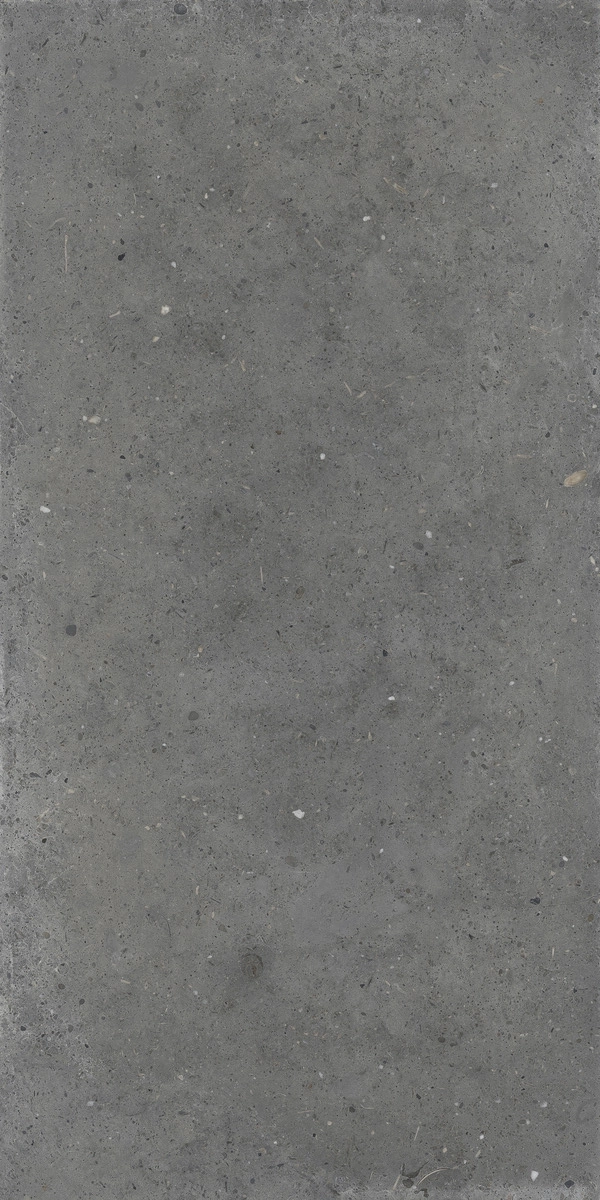 Iris Ceramica 120X60 Whole Stone Grey Sq. 892718