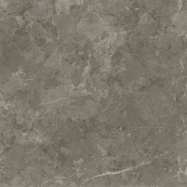 Iris Ceramica 60X60 Piet.Di Sc.Visone Sq 866856