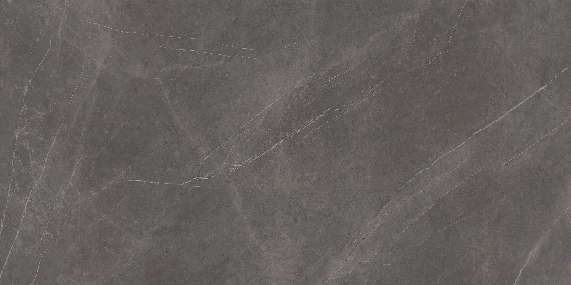 Iris Maxfine Stone Grey Lucidato Sq. L315335MF6