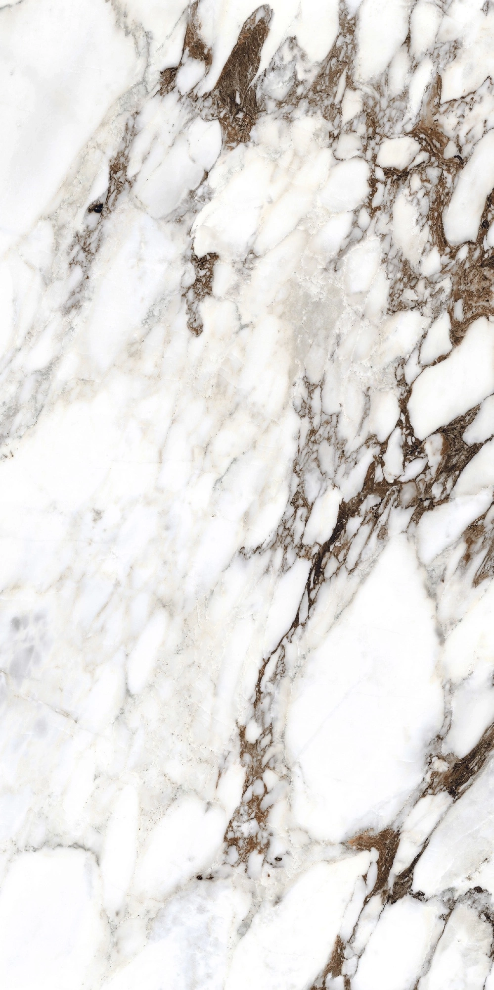 Florim Rex Bijoux Breche Capraia Glo 6Mm 120X240 R 765724