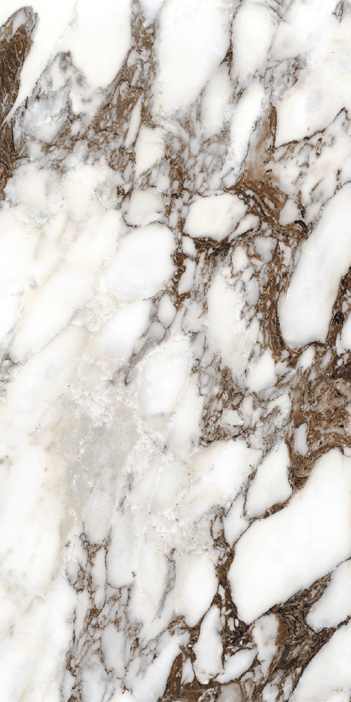 Florim Rex Bijoux Breche Capraia Glo 6Mm 60X120 R 765783