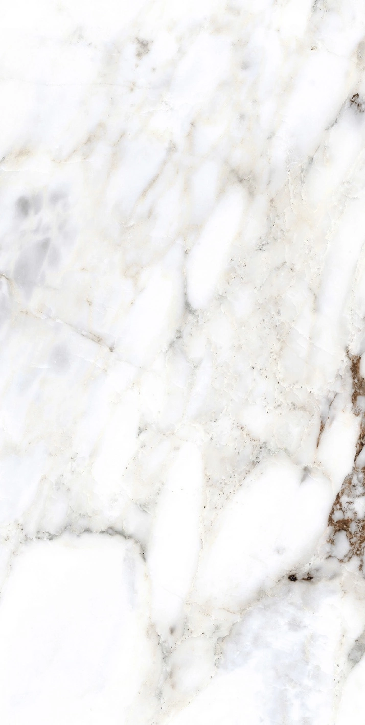 Florim Rex Bijoux Breche Capraia Glo 6Mm 60X120 R 765783