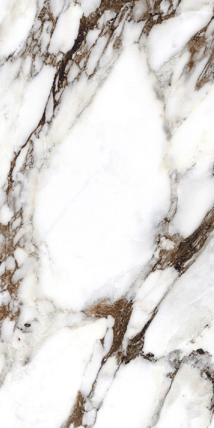 Florim Rex Bijoux Breche Capraia Glo 6Mm 60X120 R 765783