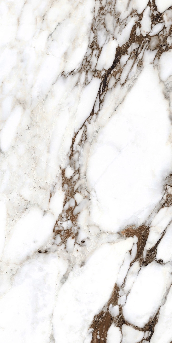 Florim Rex Bijoux Breche Capraia Glo 6Mm 60X120 R 765783