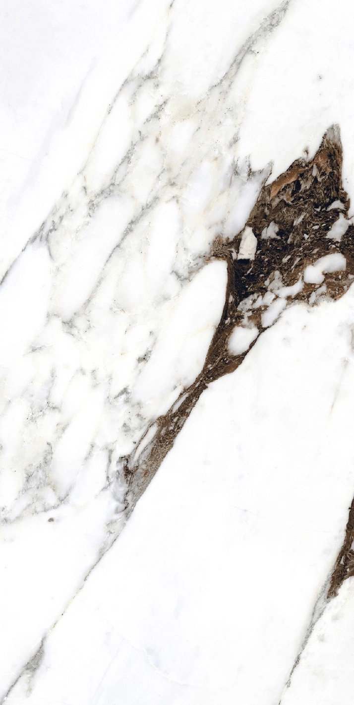 Florim Rex Bijoux Breche Capraia Glo 6Mm 60X120 R 765783