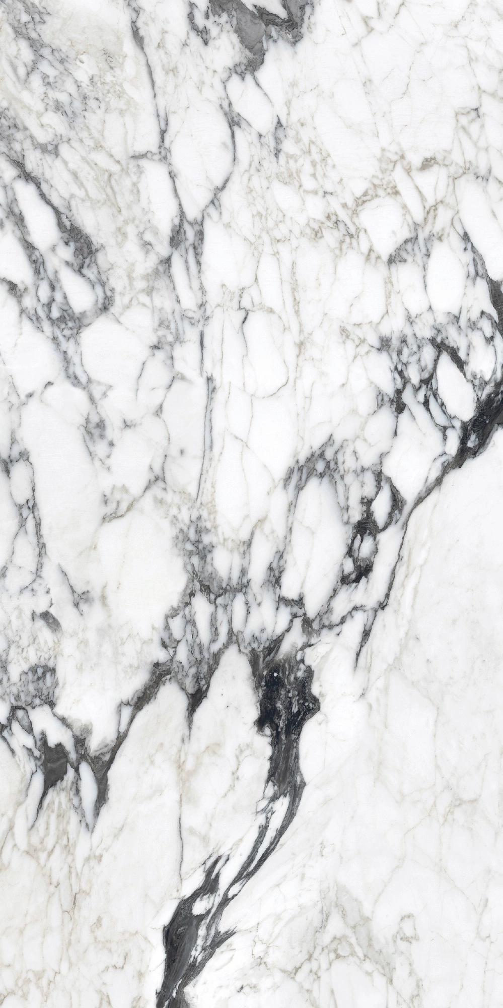 Florim Rex Bijoux Calac Altissimo Glo 6Mm 120X240 R 765721