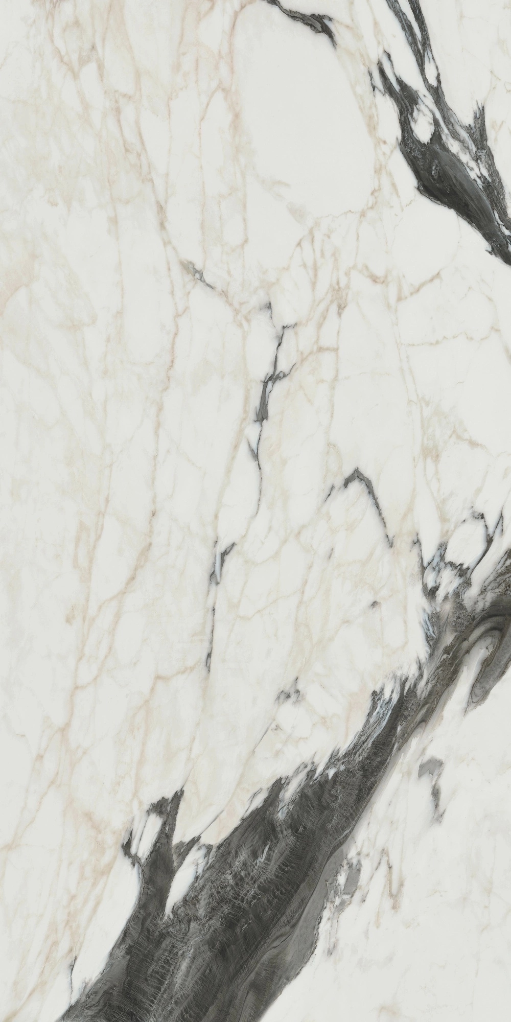 Florim Rex Bijoux Calac Altissimo Glossy 60X120 Ret 766330