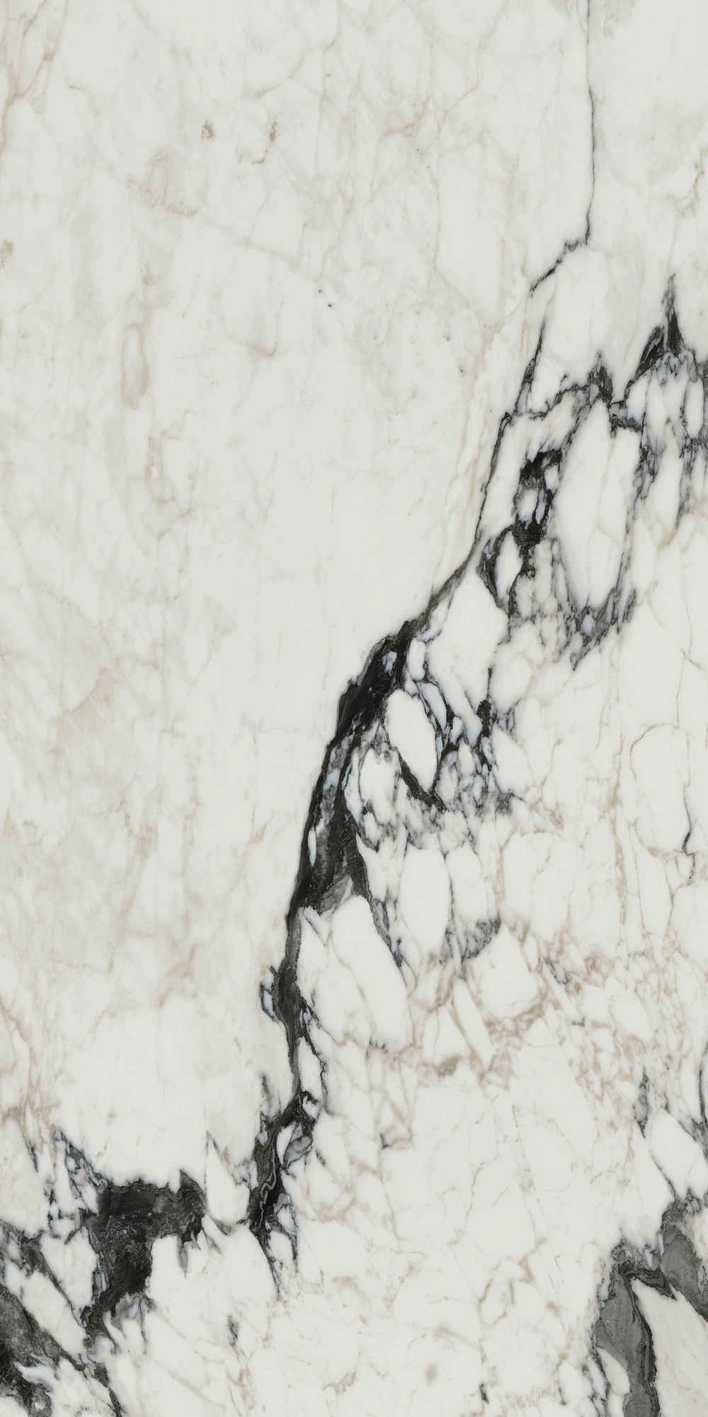 Florim Rex Bijoux Calac Altissimo Glossy 60X120 Ret 766330