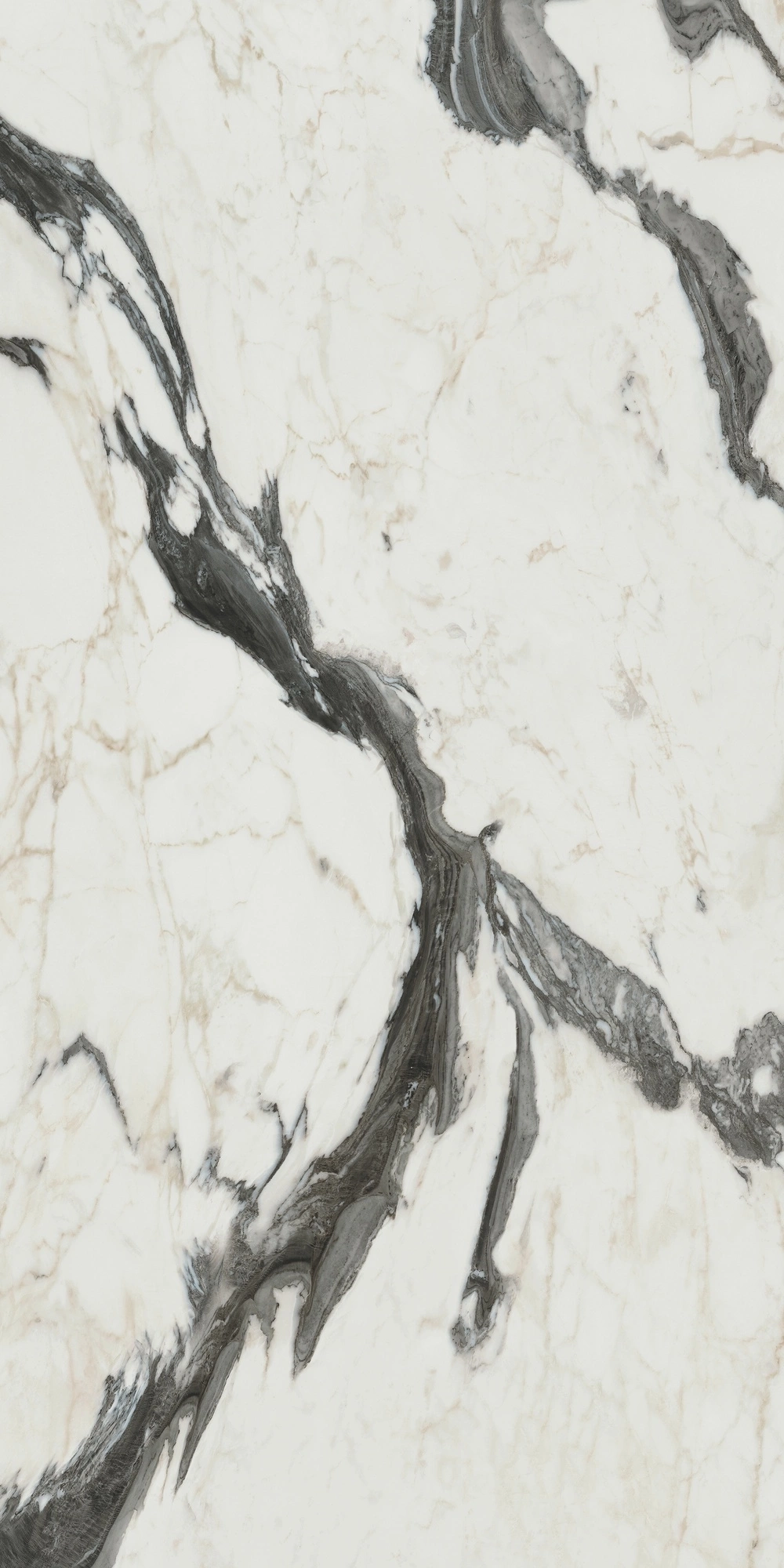 Florim Rex Bijoux Calac Altissimo Glossy 60X120 Ret 766330