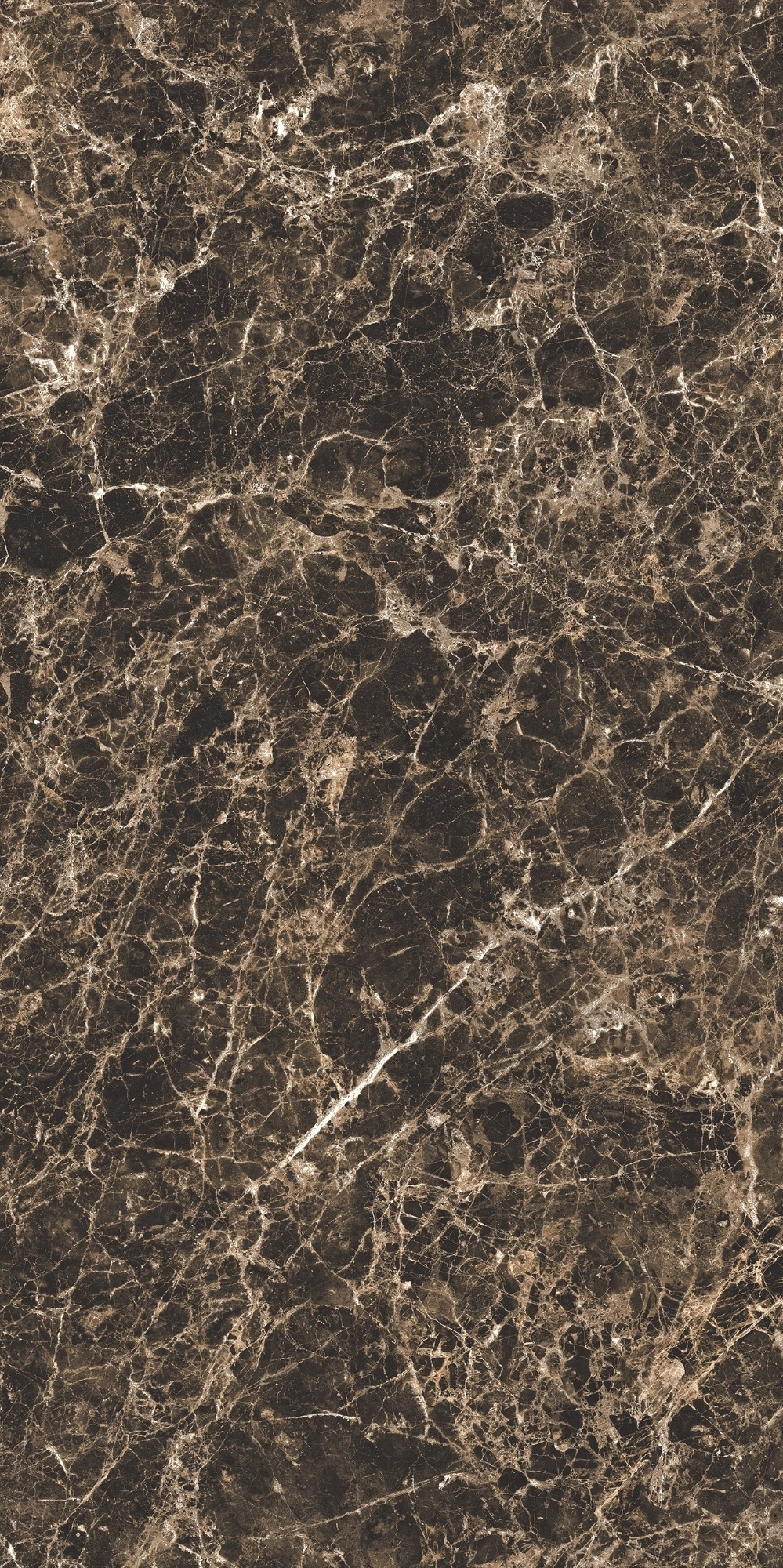 Florim Rex Bijoux Marron Imperial Glo 6Mm 120X240 R 765725