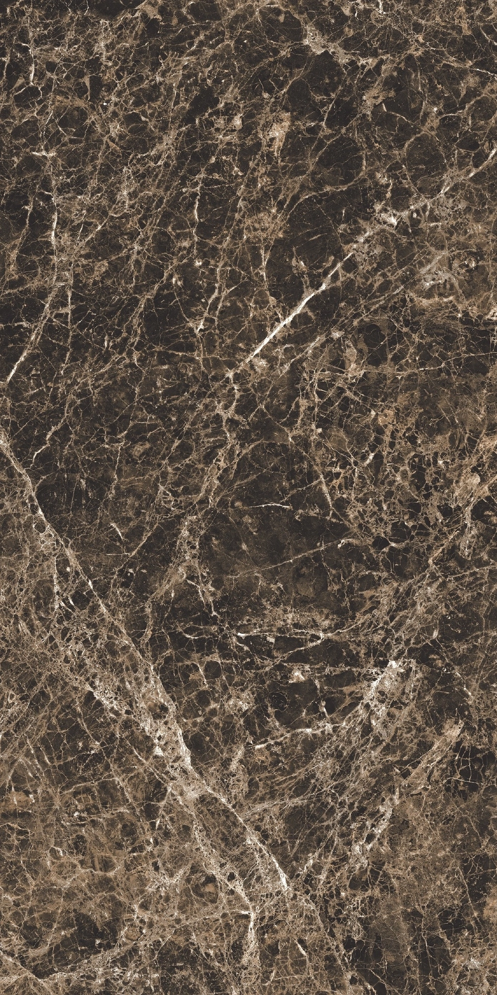 Florim Rex Bijoux Marron Imperial Glo 6Mm 120X240 R 765725