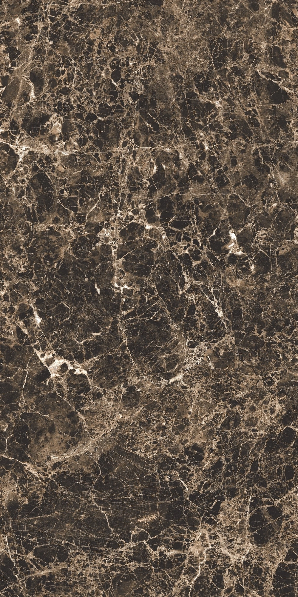 Florim Rex Bijoux Marron Imperial Glo 6Mm 120X240 R 765725