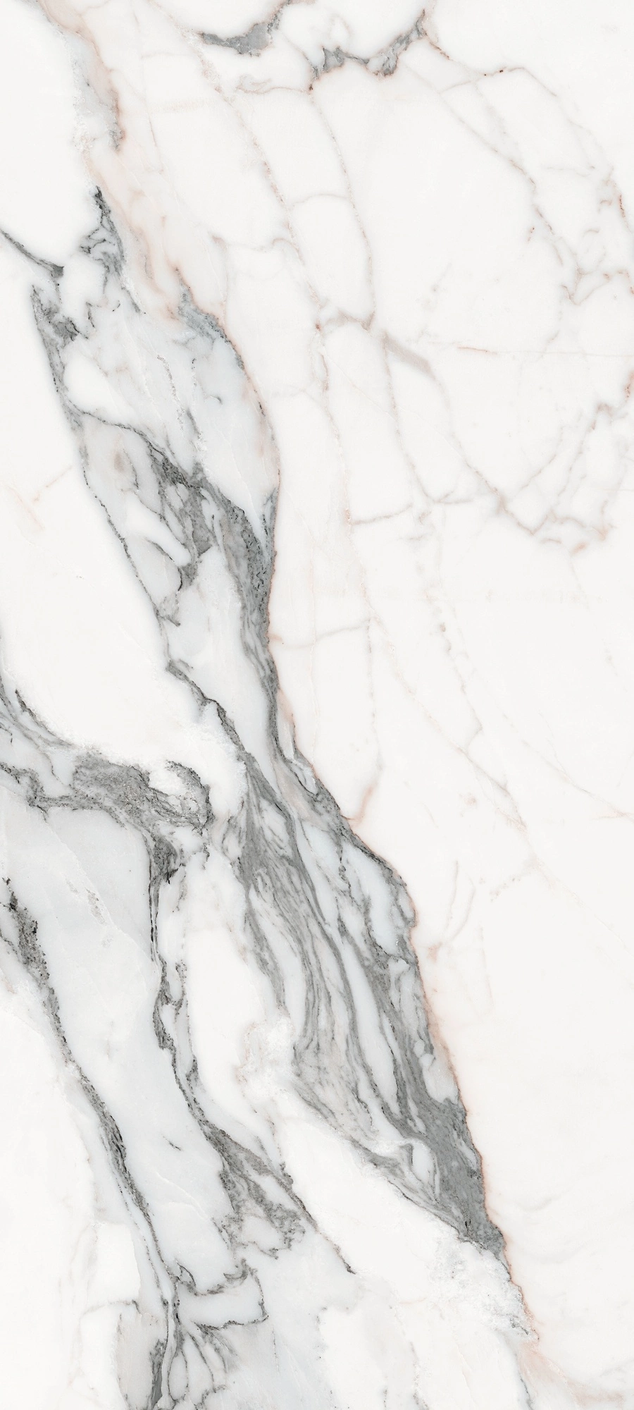 Florim Rex Les Origines De Rex Argent Mat 80X180 Rt 770434