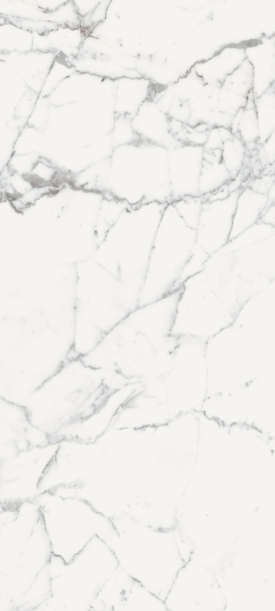 Florim Rex Les Origines De Rex Blanche Mat 80X180Rt 770435