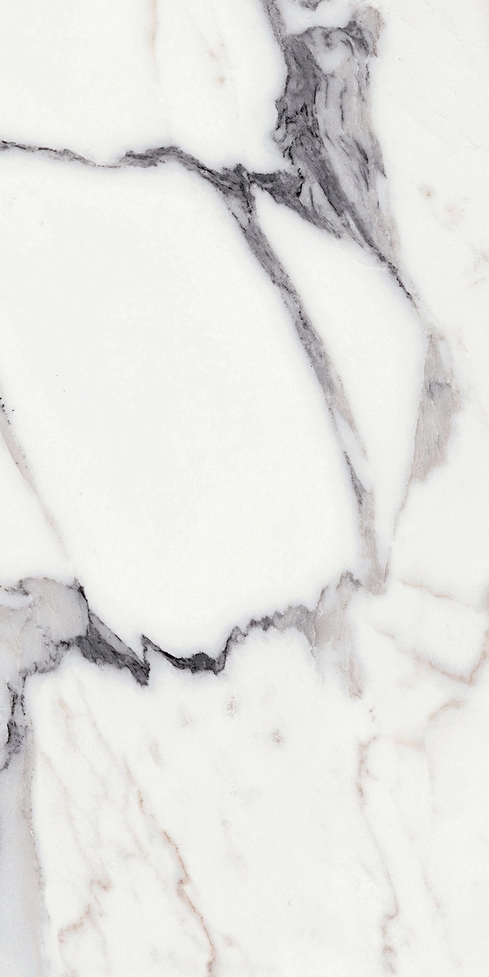 Florim Rex Origines De Rex Argent Glo 6Mm 60X120 R 769983