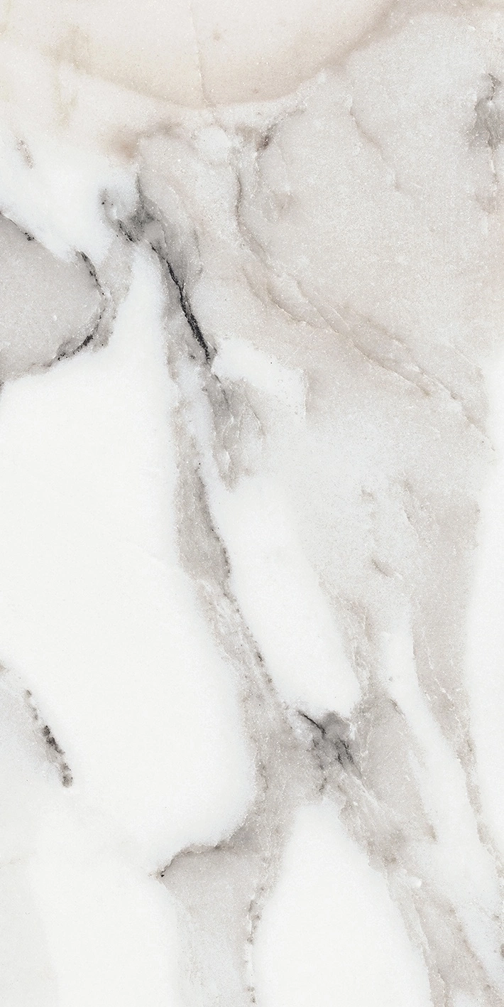 Florim Rex Origines De Rex Argent Glossy 30X60 Rett 769851