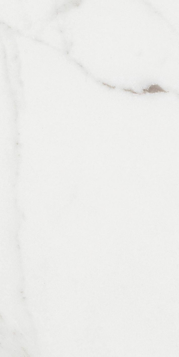 Florim Rex Origines De Rex Argent Glossy 30X60 Rett 769851