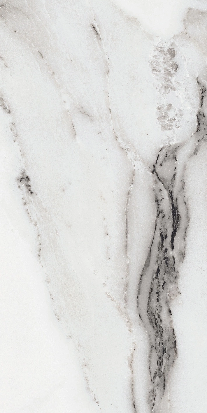 Florim Rex Origines De Rex Argent Glossy 30X60 Rett 769851