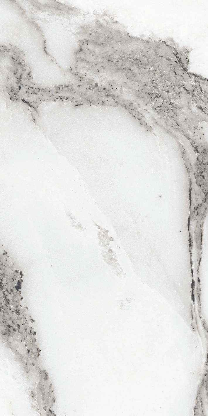 Florim Rex Origines De Rex Argent Glossy 30X60 Rett 769851