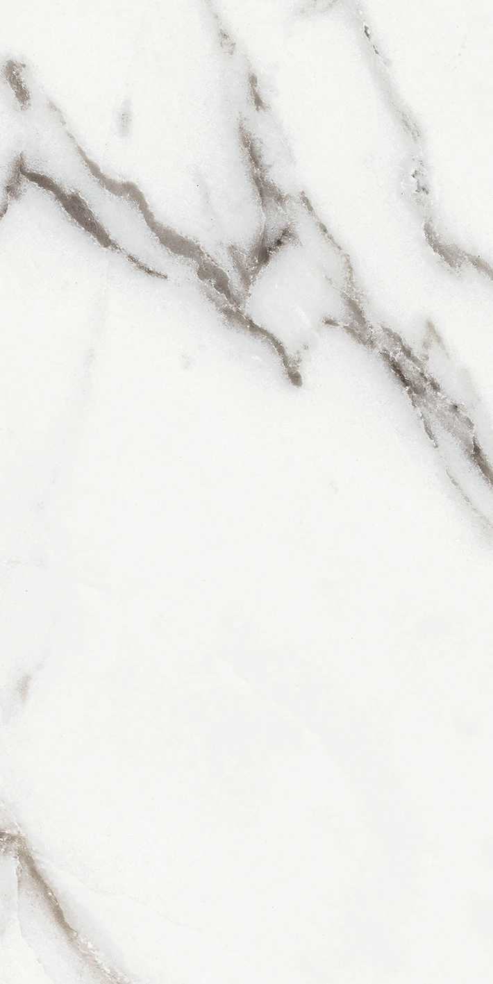 Florim Rex Origines De Rex Argent Glossy 30X60 Rett 769851