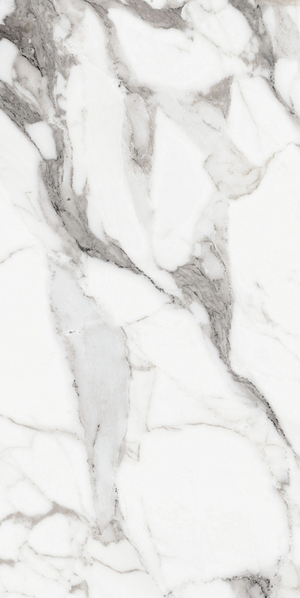 Florim Rex Origines De Rex Argent Glossy 60X120 Ret 769859