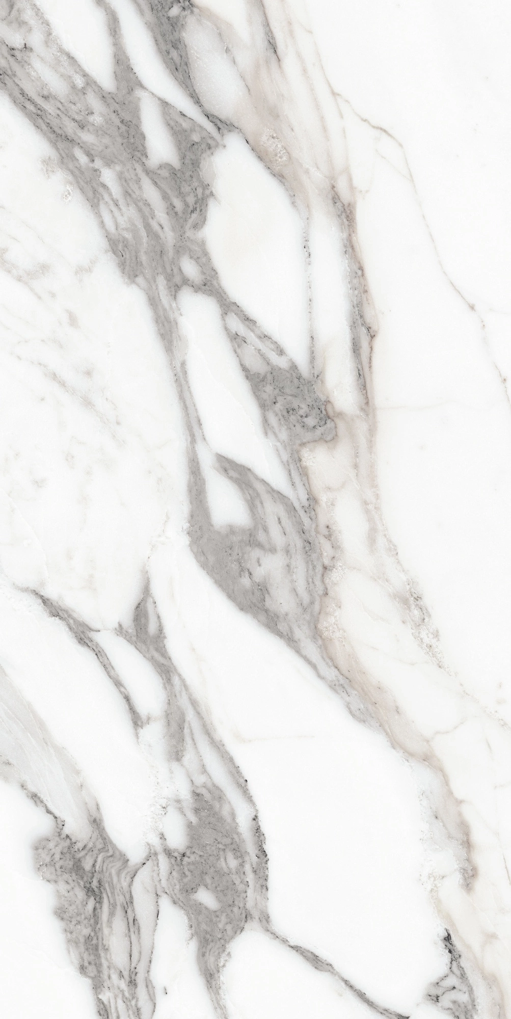 Florim Rex Origines De Rex Argent Glossy 60X120 Ret 769859