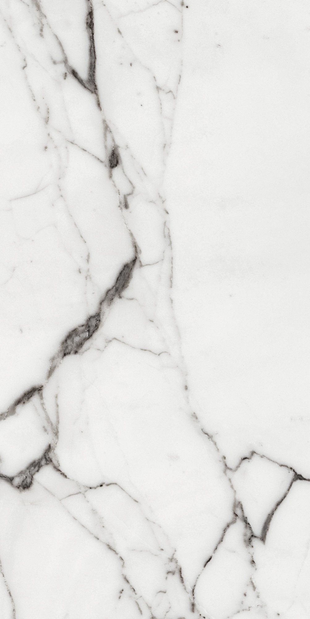 Florim Rex Origines De Rex Argent Glossy 60X120 Ret 769859