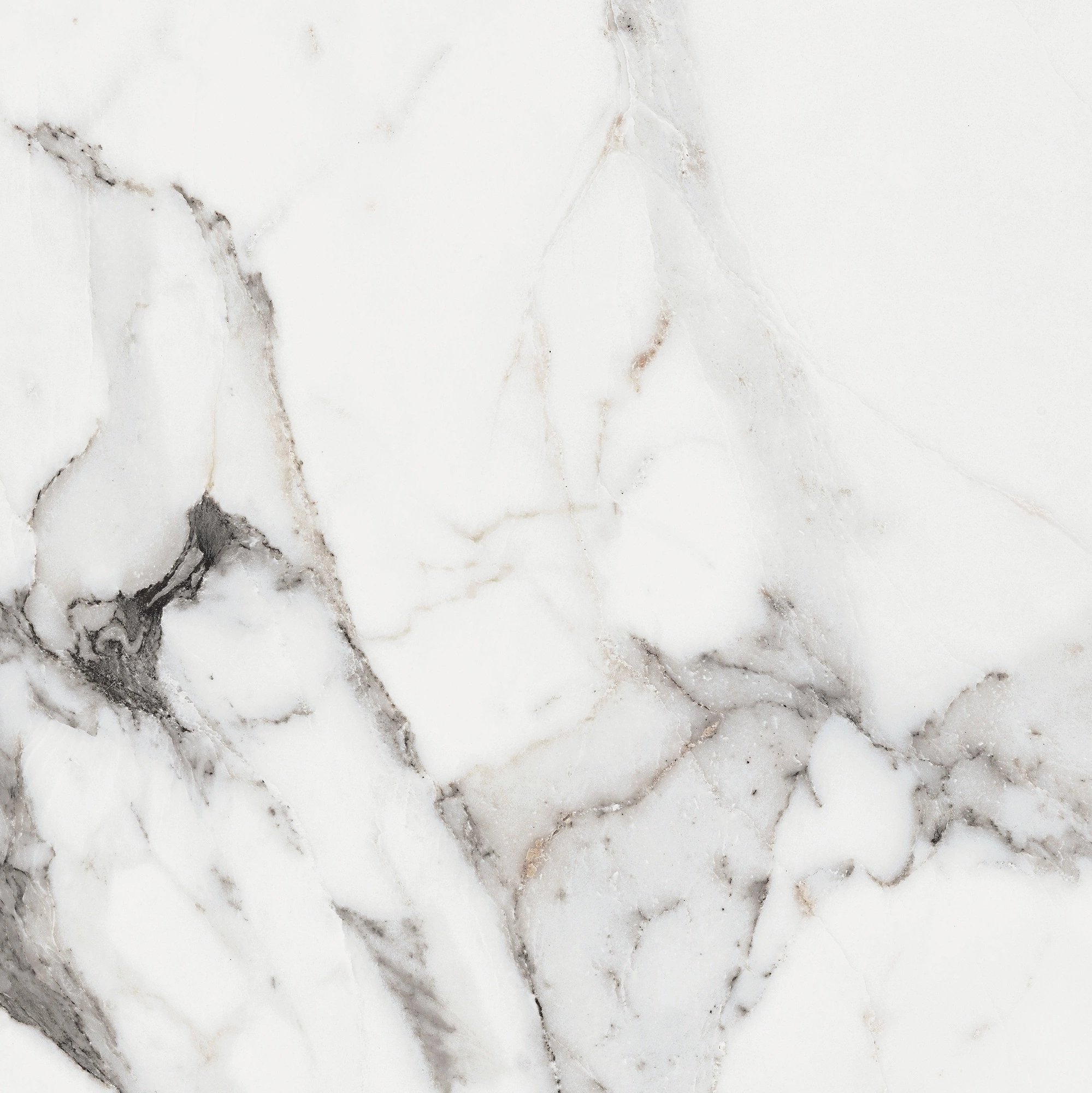 Florim Rex Origines De Rex Argent Glossy 60X60 Rett 769843