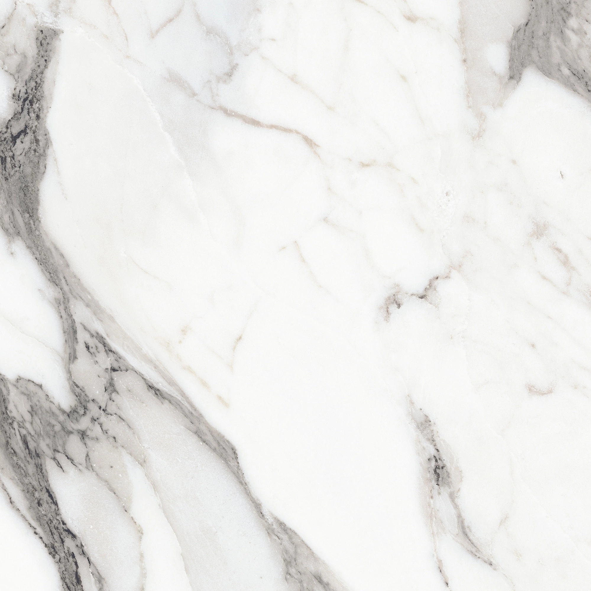 Florim Rex Origines De Rex Argent Glossy 60X60 Rett 769843