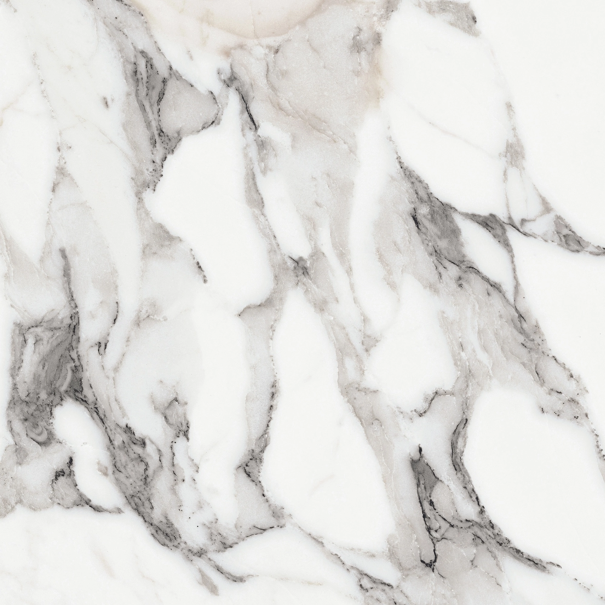 Florim Rex Origines De Rex Argent Glossy 60X60 Rett 769843