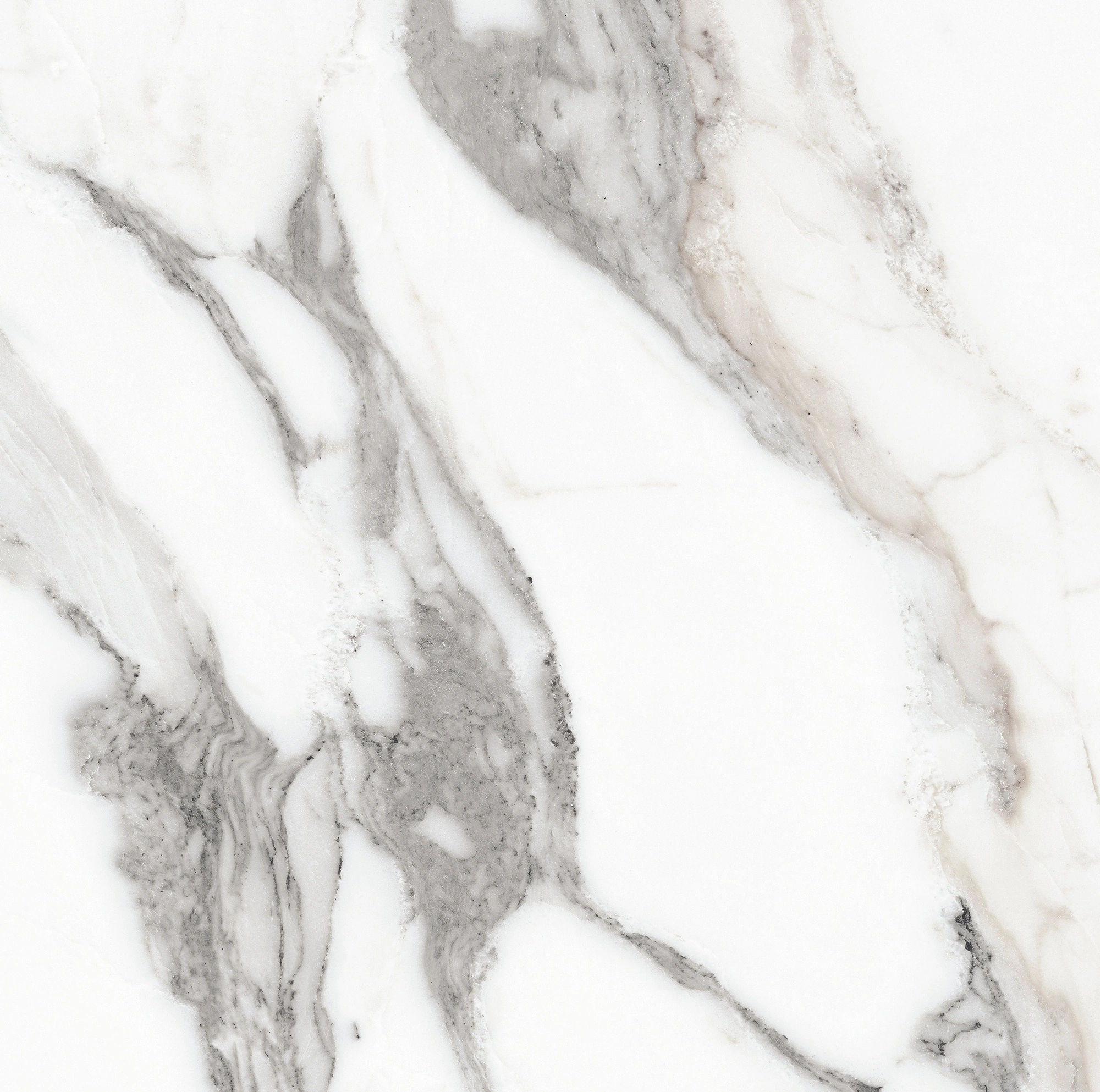 Florim Rex Origines De Rex Argent Glossy 60X60 Rett 769843