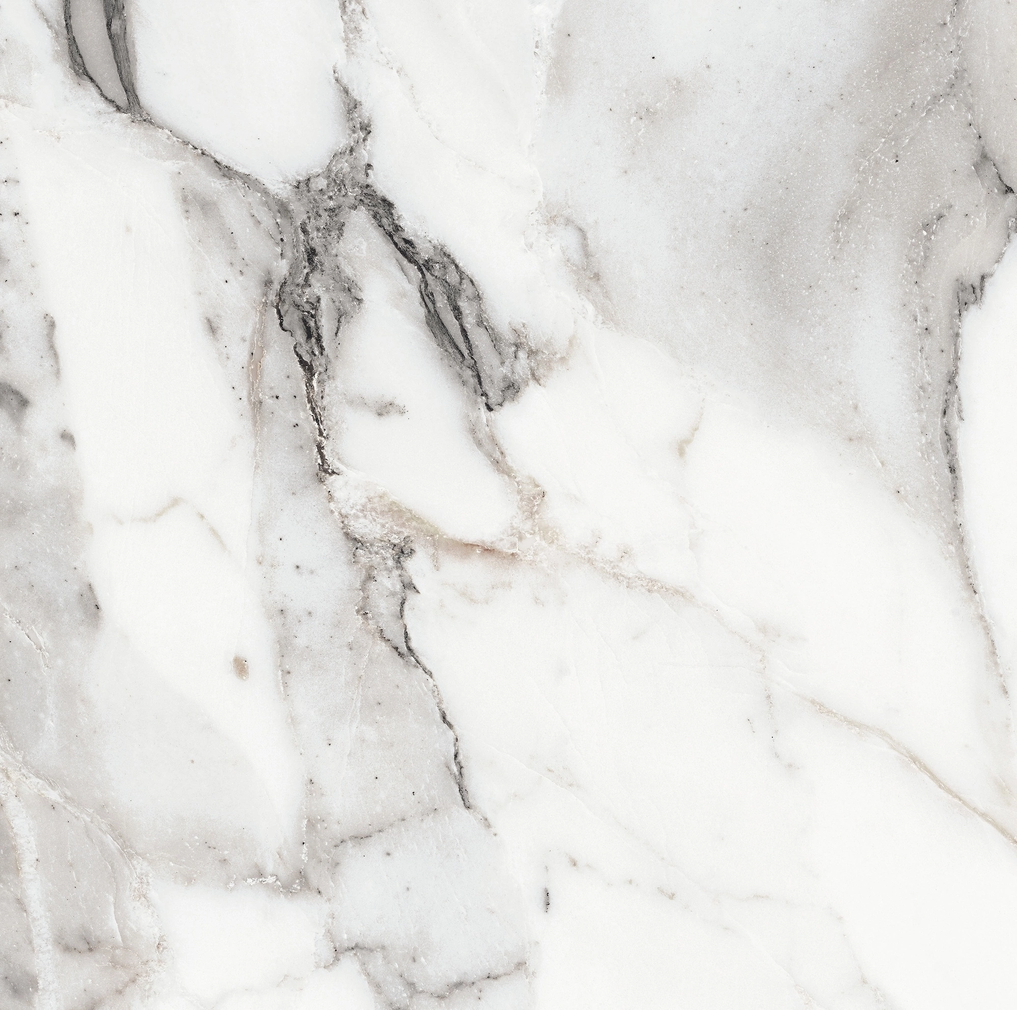 Florim Rex Origines De Rex Argent Glossy 60X60 Rett 769843