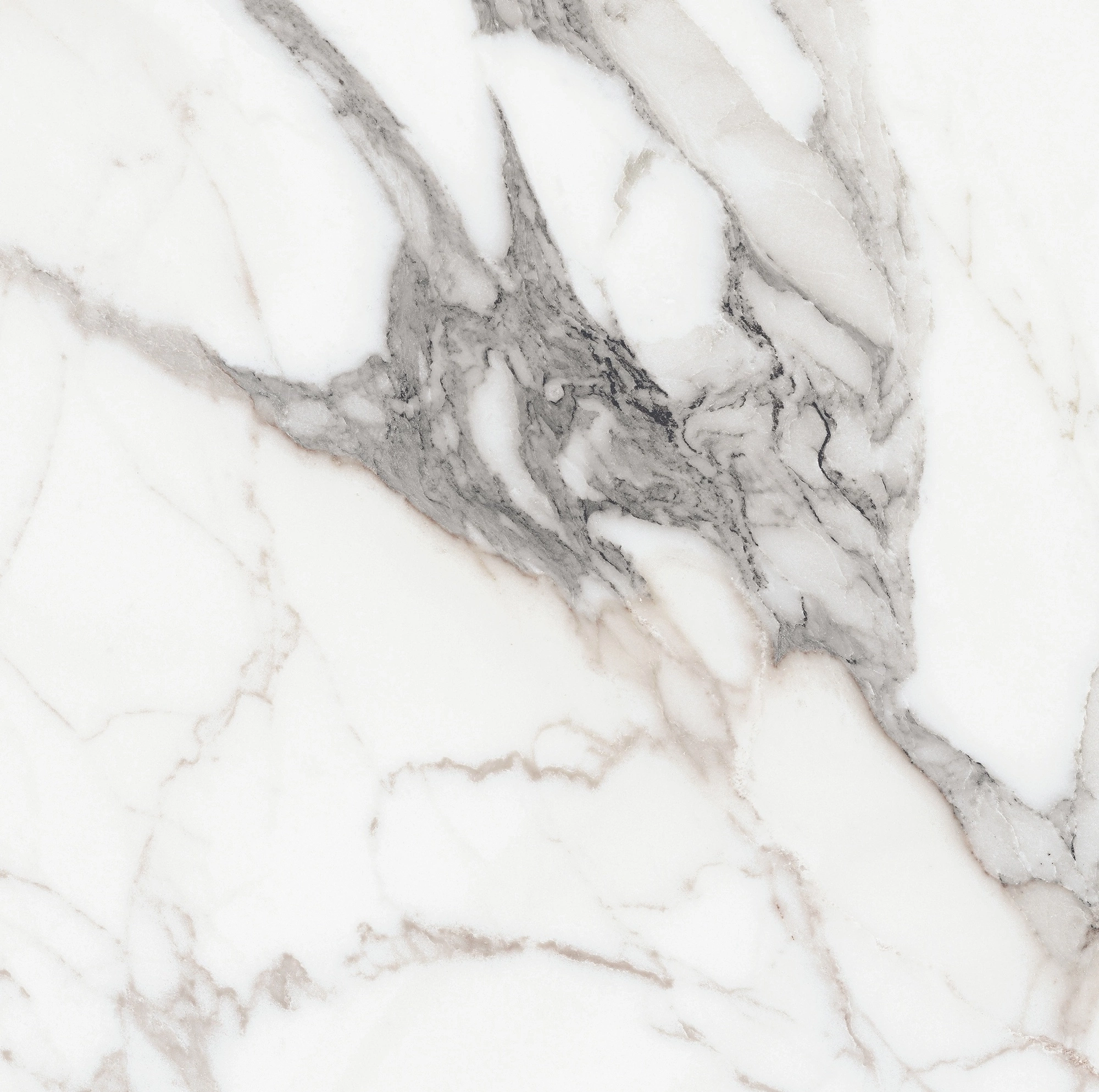 Florim Rex Origines De Rex Argent Glossy 60X60 Rett 769843