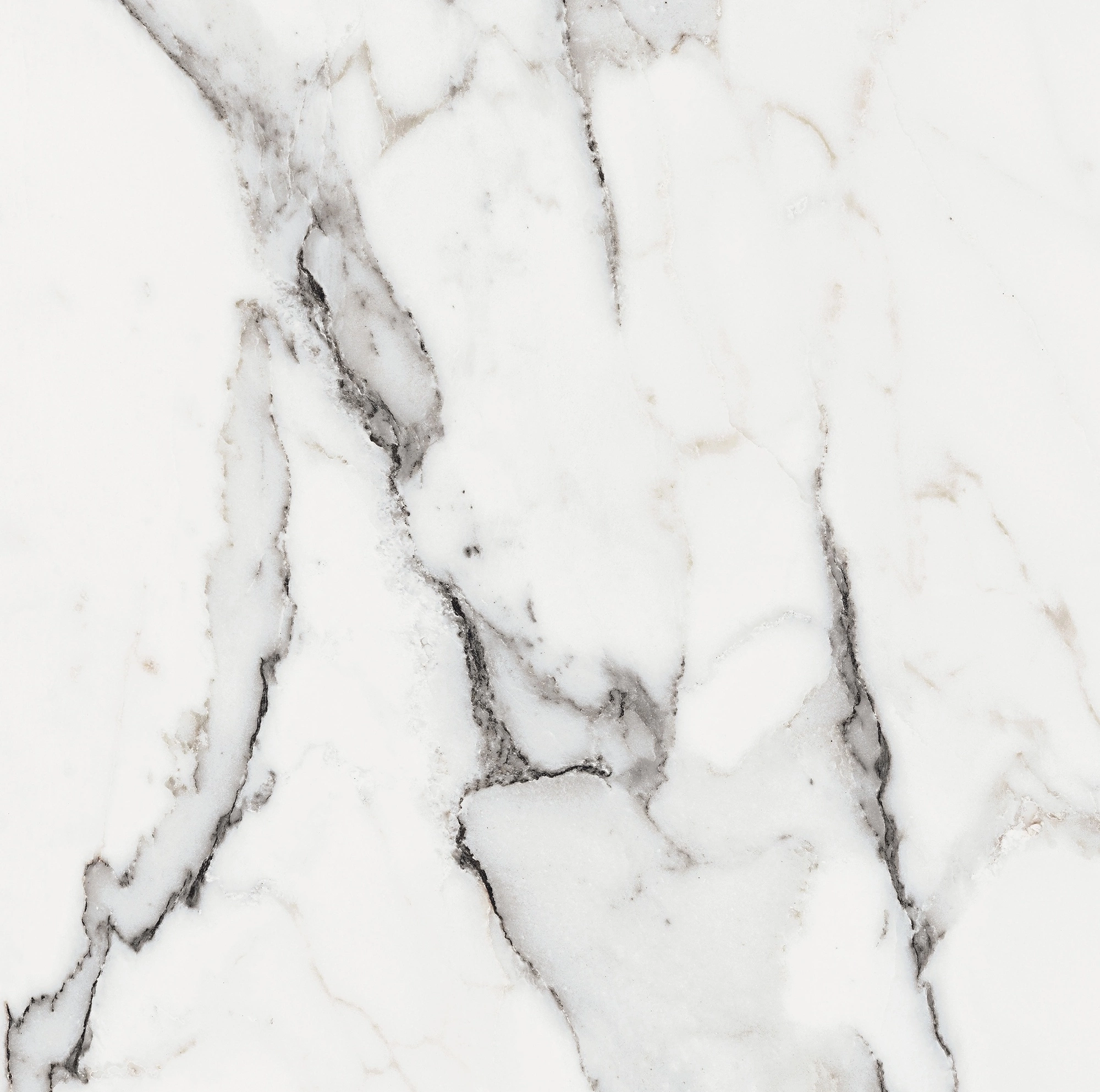 Florim Rex Origines De Rex Argent Glossy 60X60 Rett 769843