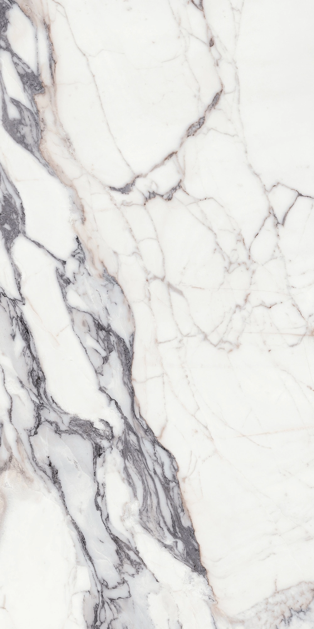 Florim Rex Origines De Rex Argent Mat 6Mm 120X240 R 769963