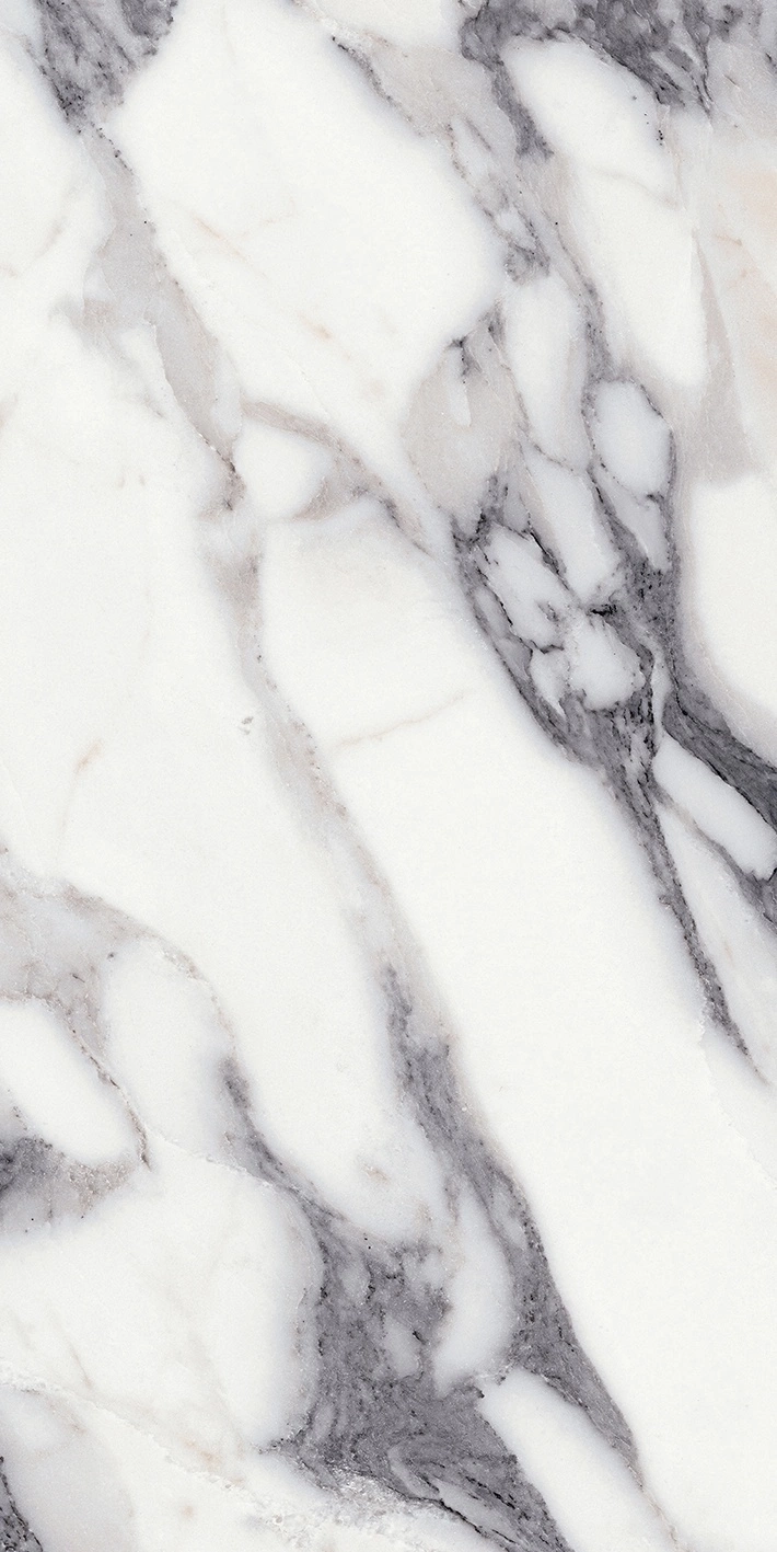 Florim Rex Origines De Rex Argent Mat 6Mm 60X120 R 769979