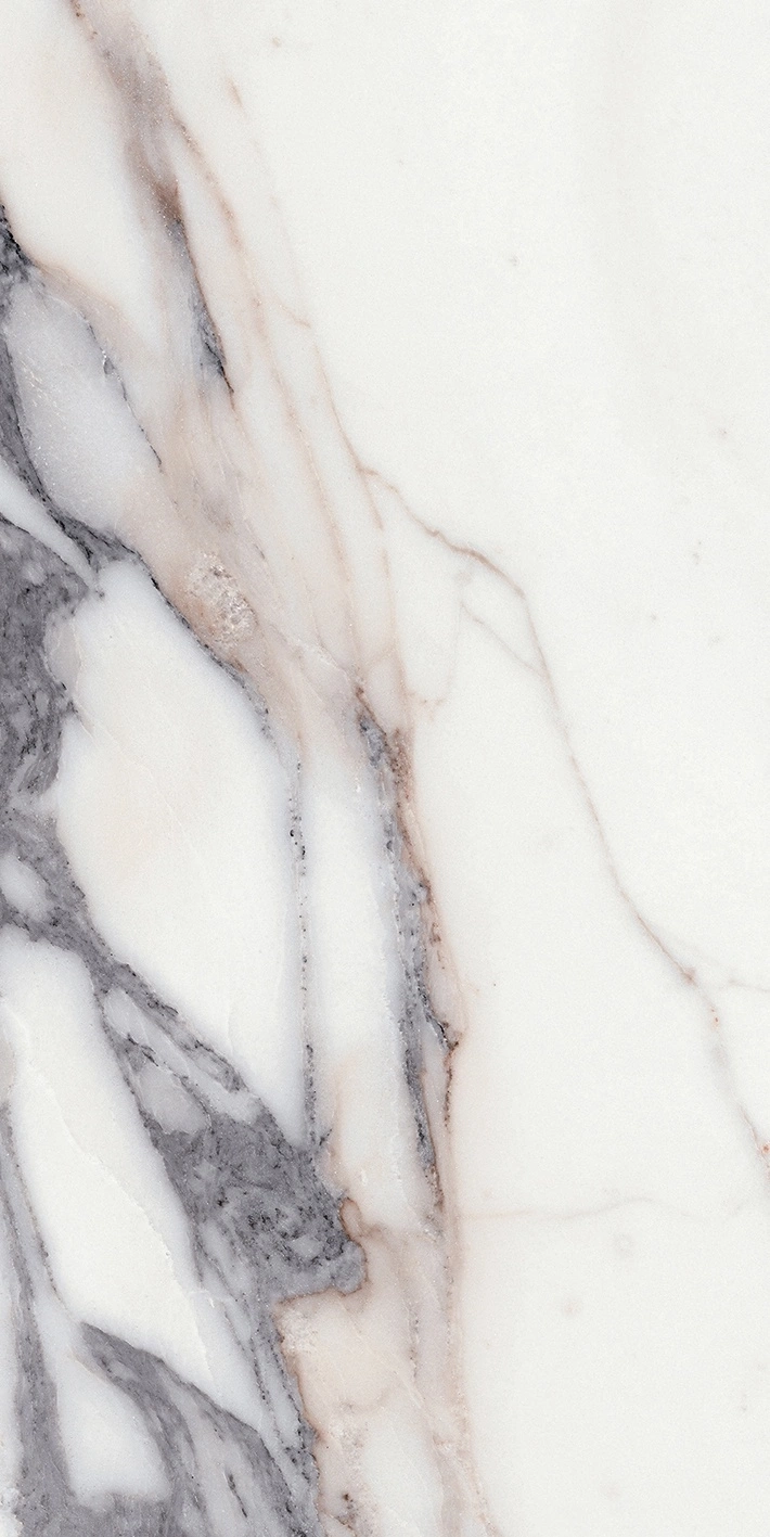 Florim Rex Origines De Rex Argent Mat 6Mm 60X120 R 769979