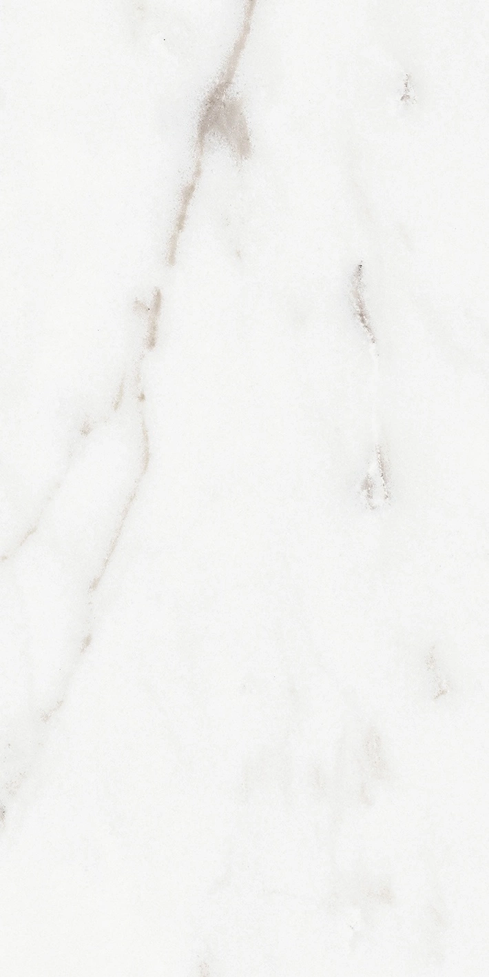 Florim Rex Origines De Rex Argent Matte 30X60 Rett 769847