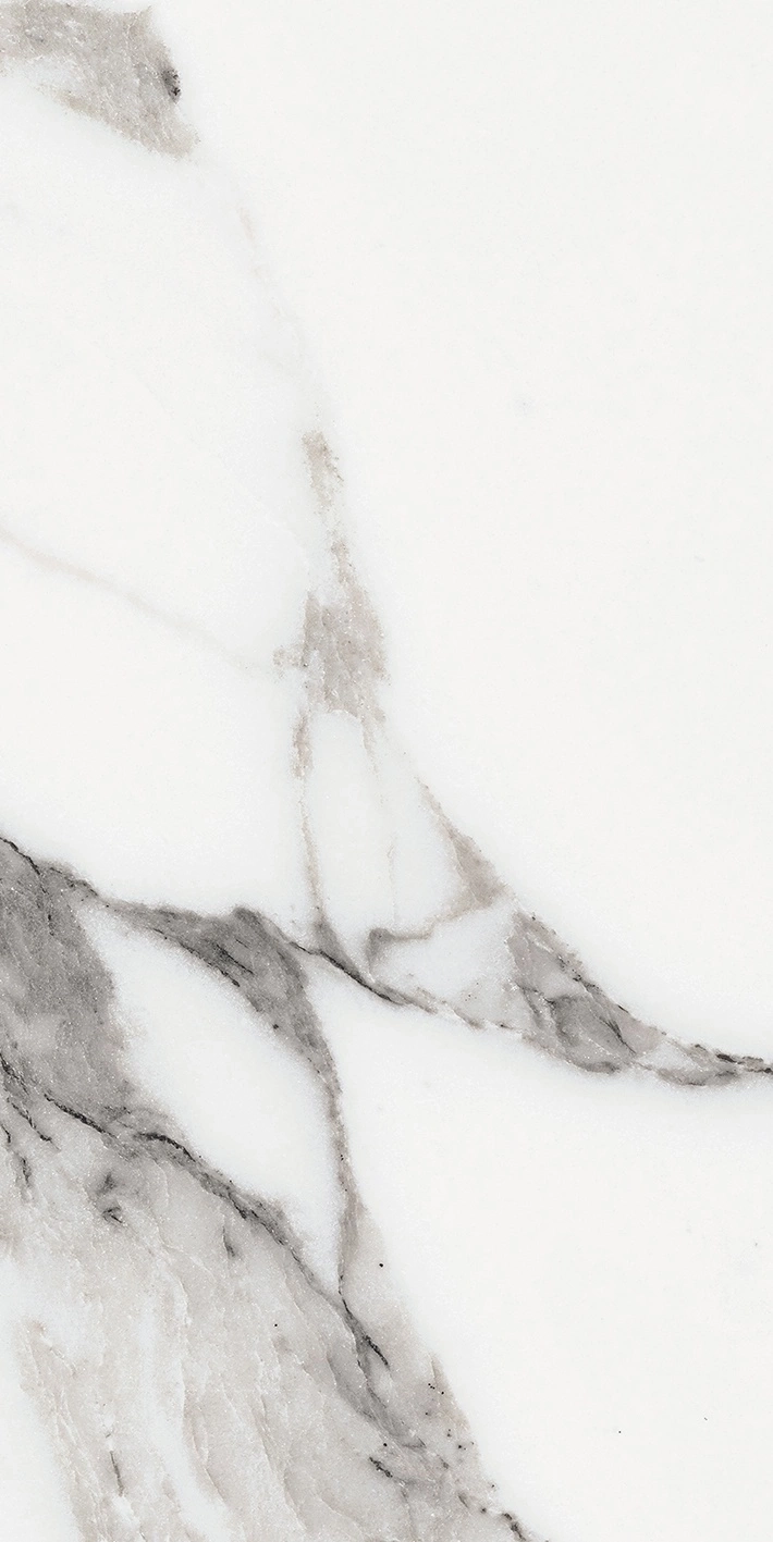 Florim Rex Origines De Rex Argent Matte 30X60 Rett 769847