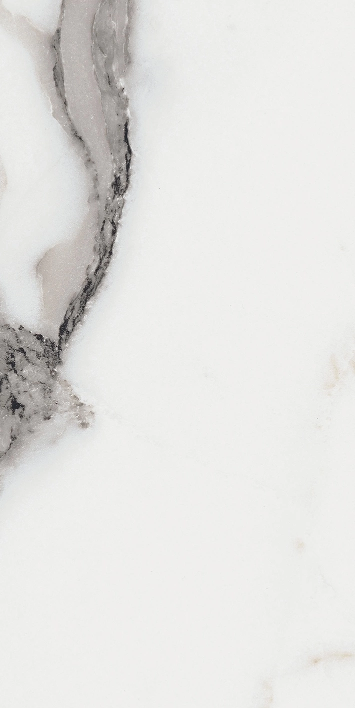 Florim Rex Origines De Rex Argent Matte 30X60 Rett 769847