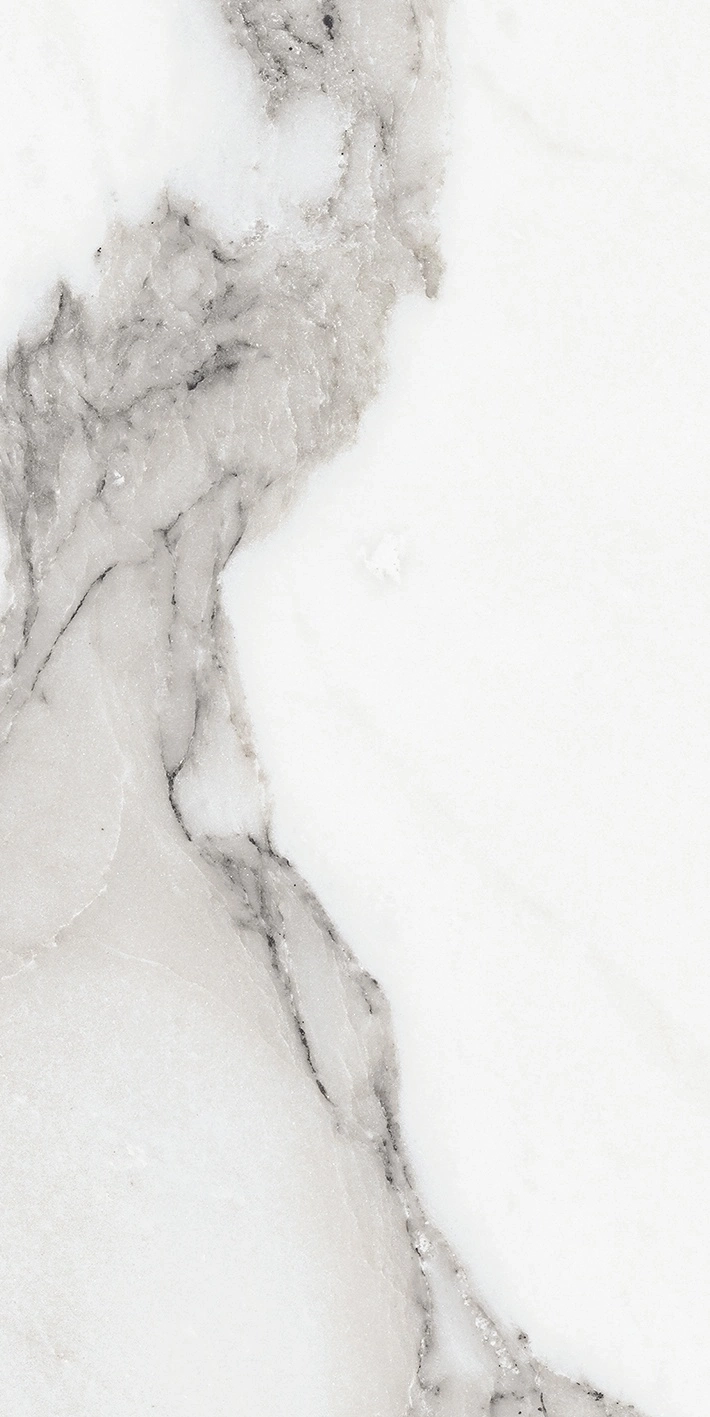 Florim Rex Origines De Rex Argent Matte 30X60 Rett 769847